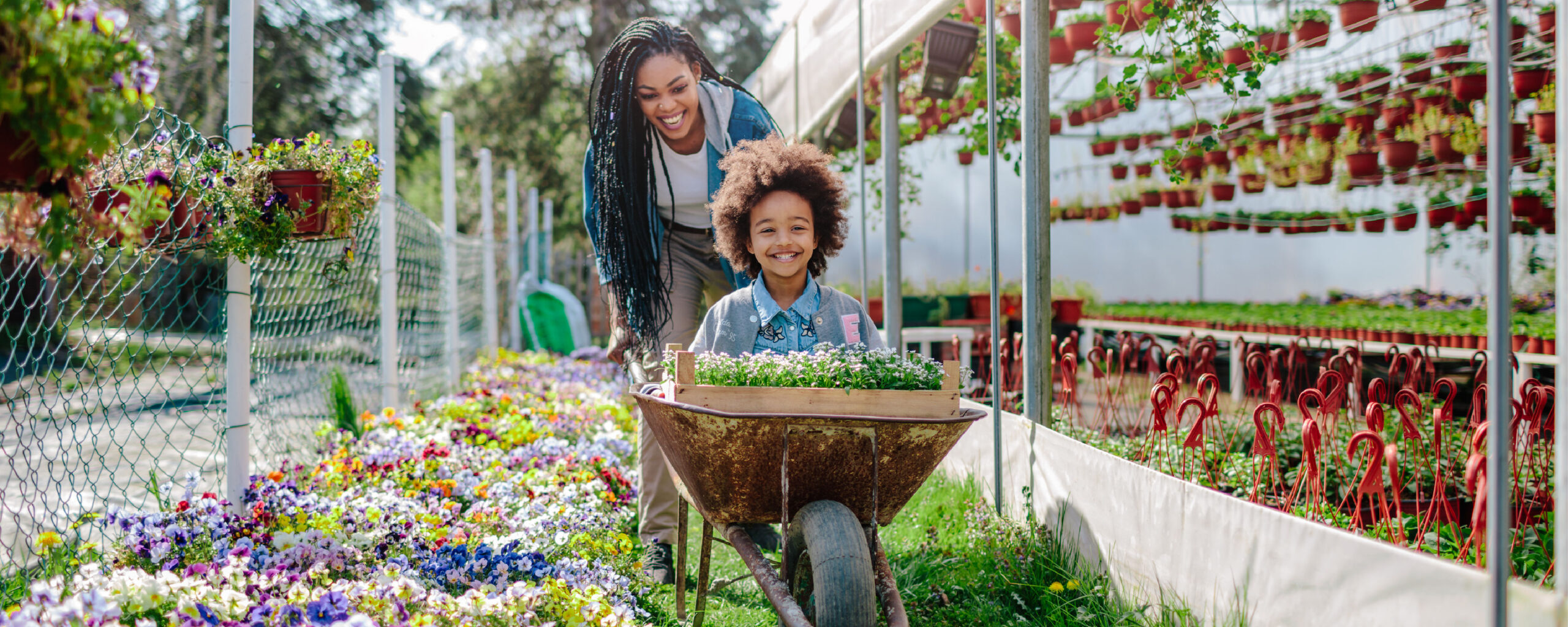 Breathe Easy This Allergy Season