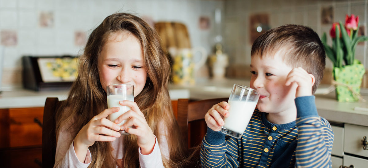 Is Raw Milk Safe To Drink? The Facts About Raw Milk, 54% OFF